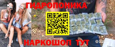индика Гусиноозёрск