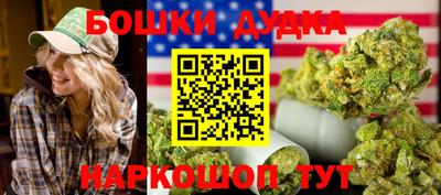 индика Гусиноозёрск