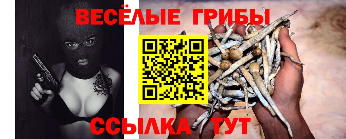 Галлюциногенные грибы Psilocybine cubensis Ливны