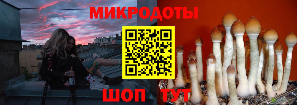 Псилоцибиновые грибы Magic Shrooms  Вход с VPN  Псилоцибиновые грибы MAGIC MUSHROOMS  Ливны 